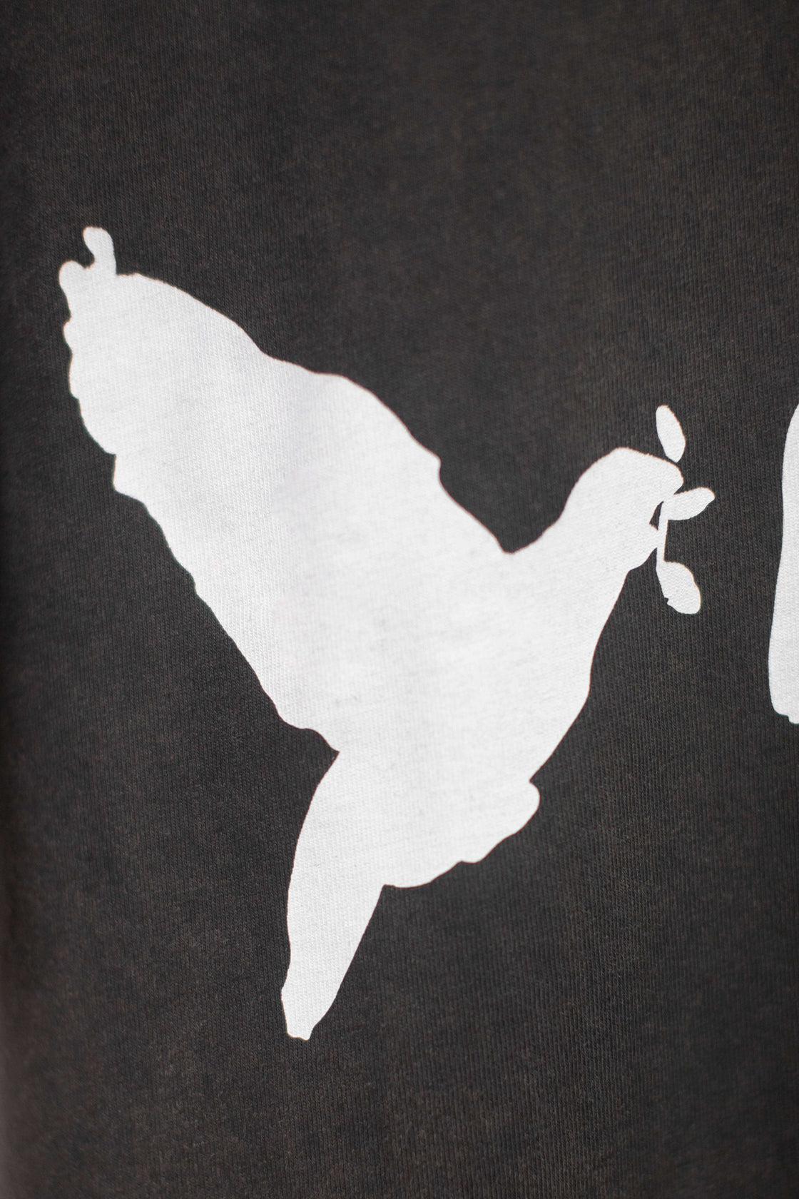 Charcoal t-shirt that has three doves flying away with text ISHIMOTO written underneath